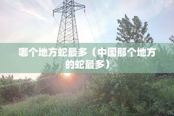 哪个地方蛇最多（中国那个地方的蛇最多）