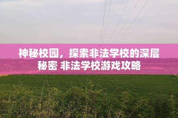 神秘校园,探索非法学校的深层秘密 非法学校游戏攻略 神秘校园,探索非法学校的深层秘密 非法学校游戏攻略