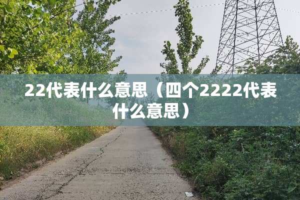 22代表什么意思（四个2222代表什么意思）