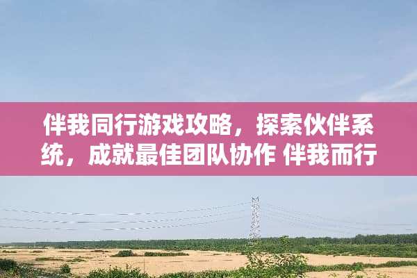 伴我同行游戏攻略，探索伙伴系统，成就最佳团队协作 伴我而行游戏攻略