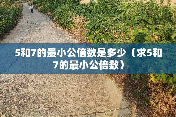 5和7的最小公倍数是多少（求5和7的最小公倍数）
