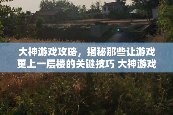 大神游戏攻略，揭秘那些让游戏更上一层楼的关键技巧 大神游戏攻略