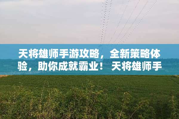 天将雄师手游攻略，全新策略体验，助你成就霸业！ 天将雄师手游攻略