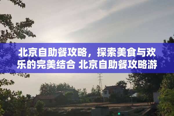 北京自助餐攻略，探索美食与欢乐的完美结合 北京自助餐攻略游戏
