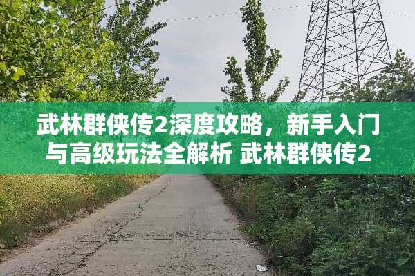 武林群侠传2深度攻略,新手入门与高级玩法全解析 武林群侠传2攻略 武林群侠传2深度攻略,新手入门与高级玩法全解析 武林群侠传2攻略