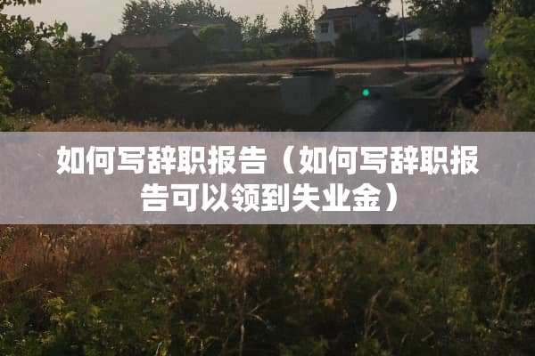 如何写辞职报告(如何写辞职报告可以领到失业金) 如何写辞职报告(如何写辞职报告可以领到失业金)