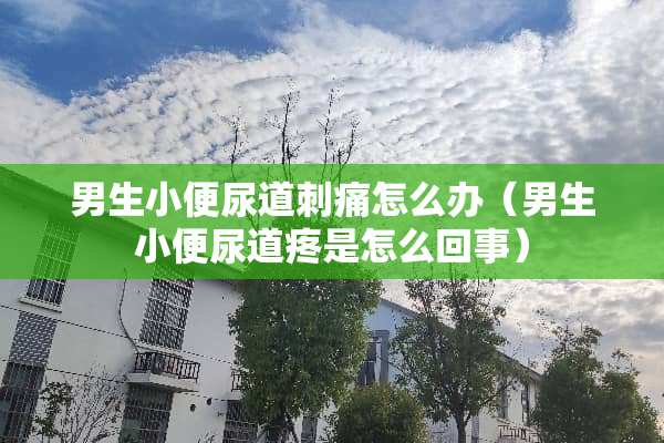 男生小便尿道刺痛怎么办（男生小便尿道疼是怎么回事）