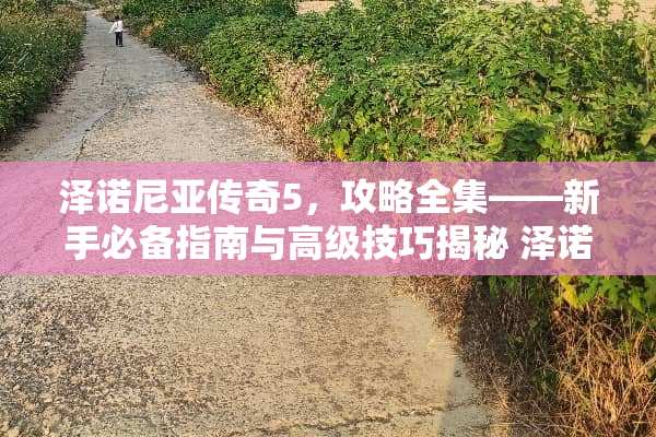 泽诺尼亚传奇5,攻略全集——新手必备指南与高级技巧揭秘 泽诺尼亚传奇5攻略 泽诺尼亚传奇5,攻略全集——新手必备指南与高级技巧揭秘 泽诺尼亚传奇5攻略