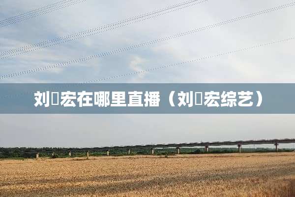 刘畊宏在哪里直播（刘畊宏综艺）