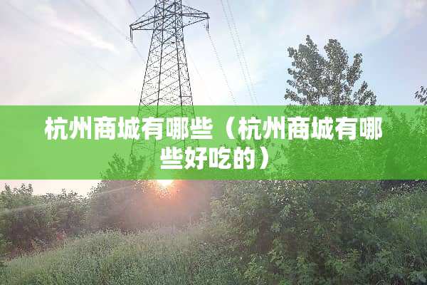 杭州商城有哪些（杭州商城有哪些好吃的）