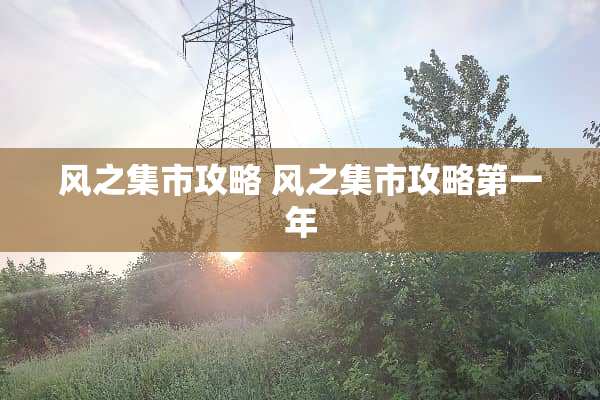风之集市攻略 风之集市攻略第一年