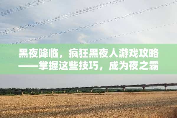 黑夜降临，疯狂黑夜人游戏攻略——掌握这些技巧，成为夜之霸主！ 疯狂黑夜人游戏攻略