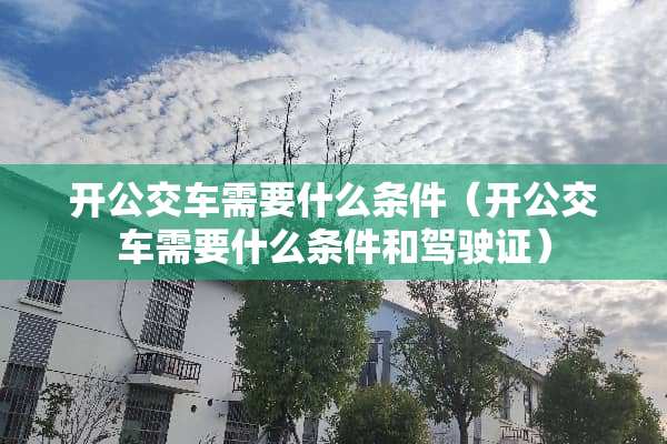 开公交车需要什么条件（开公交车需要什么条件和***）