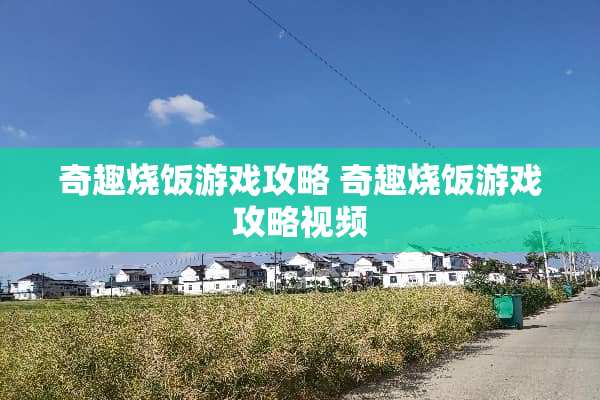 奇趣烧饭游戏攻略 奇趣烧饭游戏攻略视频