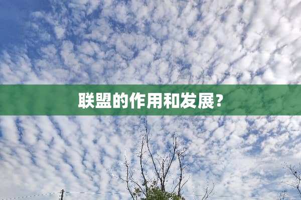 联盟的作用和发展？