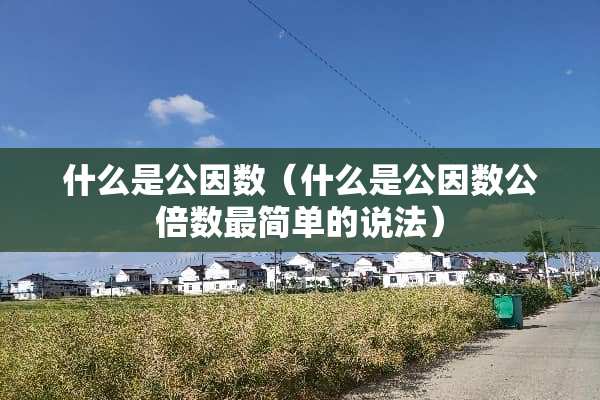 什么是公因数（什么是公因数公倍数最简单的说法）