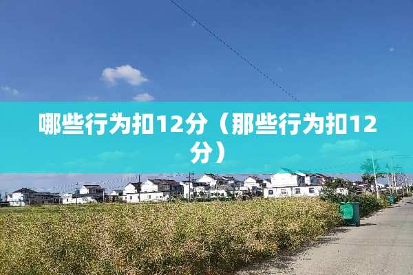哪些行为扣12分(那些行为扣12分) 哪些行为扣12分(那些行为扣12分)