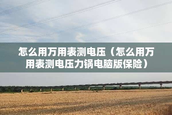 怎么用万用表测电压(怎么用万用表测电压力锅电脑版保险) 怎么用万用表测电压(怎么用万用表测电压力锅电脑版保险)
