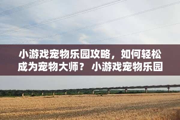 小游戏宠物乐园攻略，如何轻松成为宠物大师？ 小游戏宠物乐园攻略