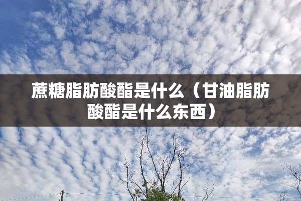蔗糖脂肪酸酯是什么(**脂肪酸酯是什么东西) 蔗糖脂肪酸酯是什么(**脂肪酸酯是什么东西)