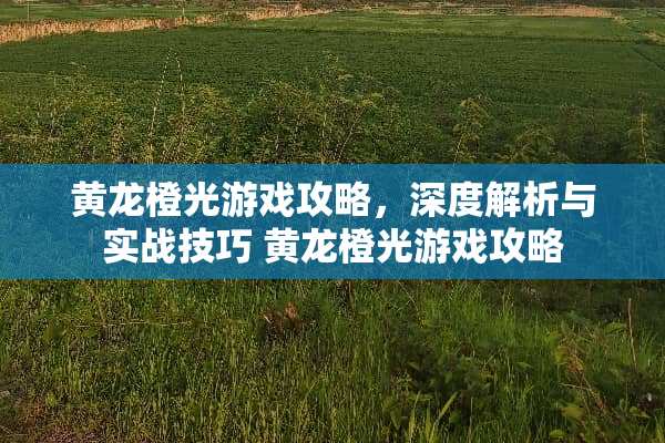 黄龙橙光游戏攻略，深度解析与实战技巧 黄龙橙光游戏攻略