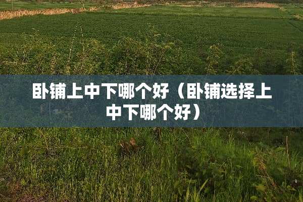 卧铺上中下哪个好（卧铺选择上中下哪个好）