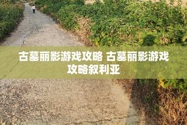 古墓丽影游戏攻略 古墓丽影游戏攻略叙利亚