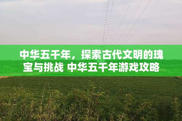 中华五千年，探索古代文明的瑰宝与挑战 中华五千年游戏攻略