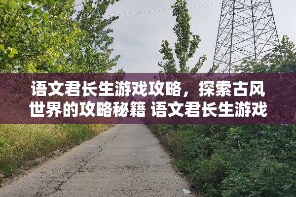 语文君长生游戏攻略，探索古风世界的攻略秘籍 语文君长生游戏攻略