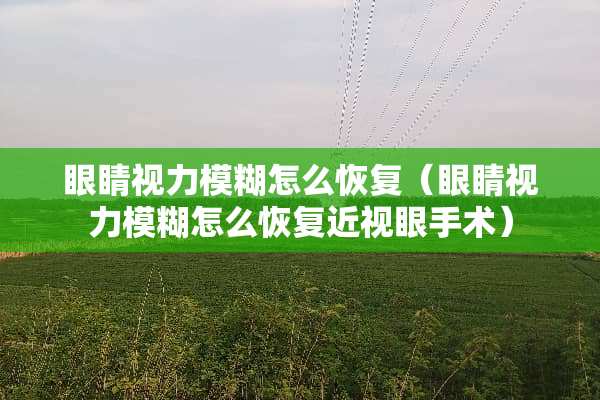 眼睛视力模糊怎么恢复（眼睛视力模糊怎么恢复近视眼手术）