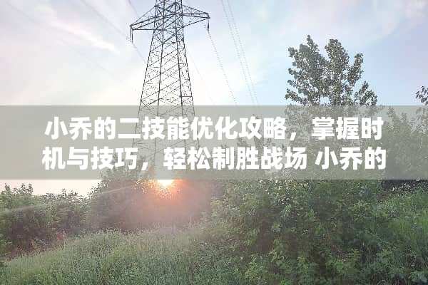 小乔的二技能优化攻略，掌握时机与技巧，轻松制胜战场 小乔的二技能