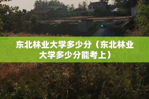 东北林业大学多少分（东北林业大学多少分能考上）
