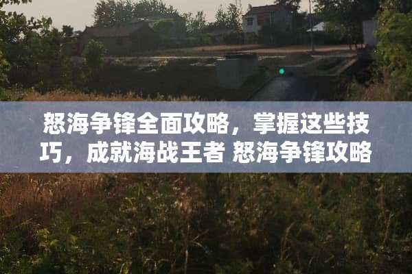 怒海争锋全面攻略，掌握这些技巧，成就海战王者 怒海争锋攻略