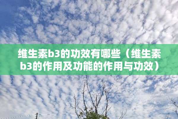 维生素b3的功效有哪些（维生素b3的作用及功能的作用与功效）