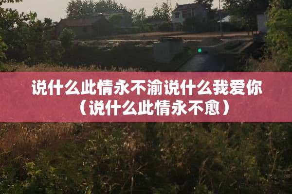 说什么此情永不渝说什么我爱你（说什么此情永不愈）
