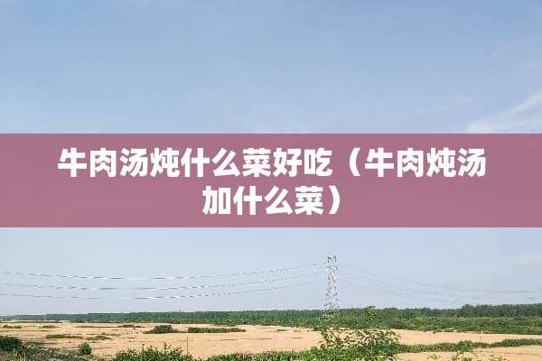 牛肉汤炖什么菜好吃（牛肉炖汤加什么菜）
