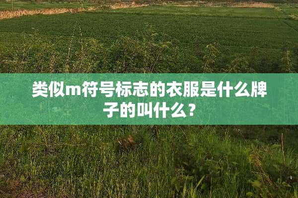 类似m符号标志的衣服是什么牌子的叫什么？