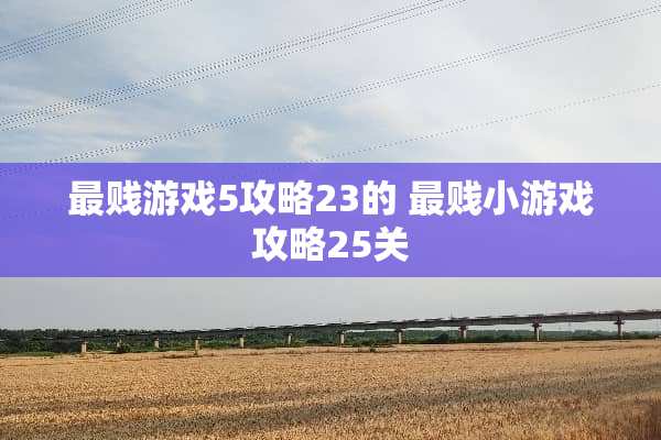 最贱游戏5攻略23的 最贱小游戏攻略25关