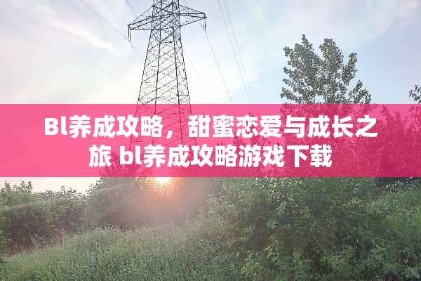 Bl养成攻略，甜蜜恋爱与成长之旅 bl养成攻略游戏下载