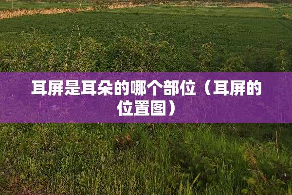 耳屏是耳朵的哪个部位（耳屏的位置图）
