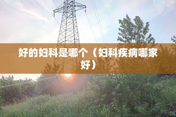 好的妇科是哪个（妇科疾病哪家好）