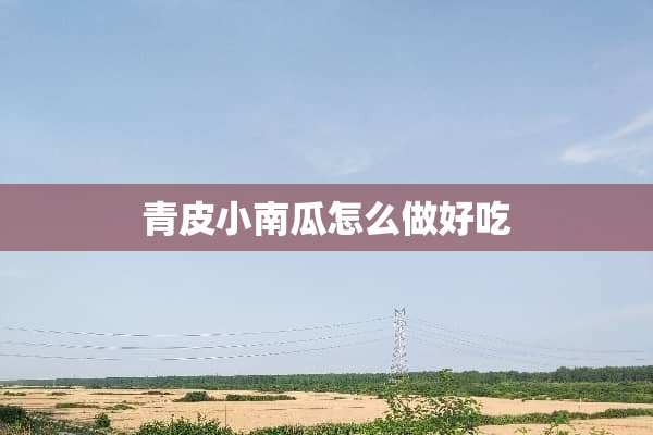青皮小南瓜怎么做好吃