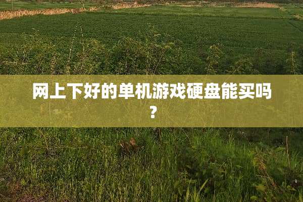网上下好的单机游戏硬盘能买吗？