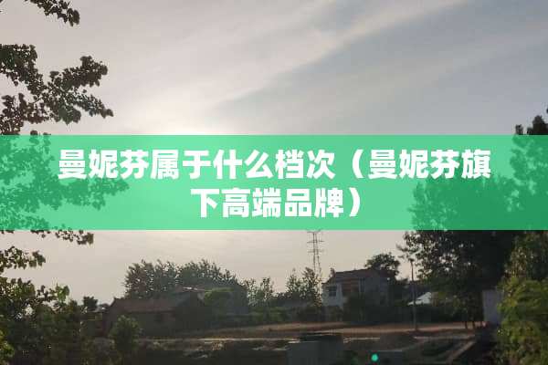 曼妮芬属于什么档次（曼妮芬旗下高端品牌）