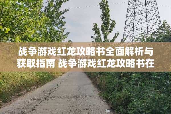 战争游戏红龙攻略书全面解析与获取指南 战争游戏红龙攻略书在哪
