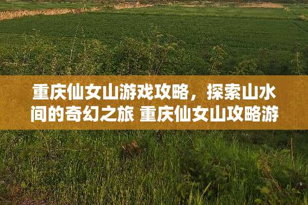 重庆仙女山游戏攻略，探索山水间的奇幻之旅 重庆仙女山攻略游戏