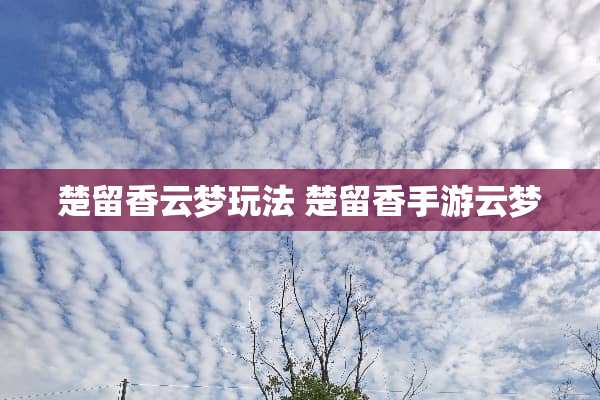 楚留香云梦玩法 楚留香手游云梦