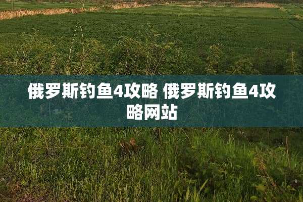 俄罗斯钓鱼4攻略 俄罗斯钓鱼4攻略网站