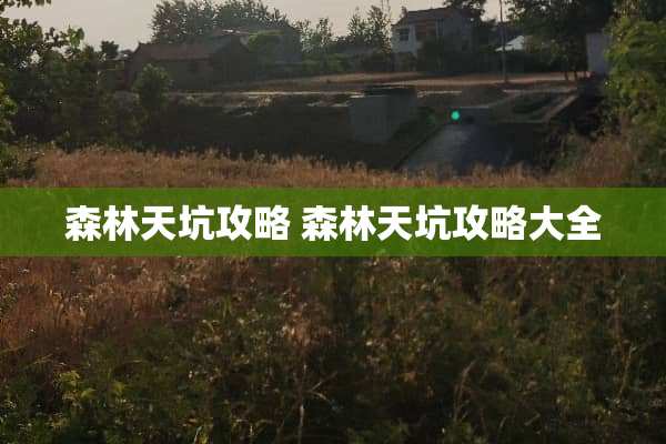 森林天坑攻略 森林天坑攻略大全