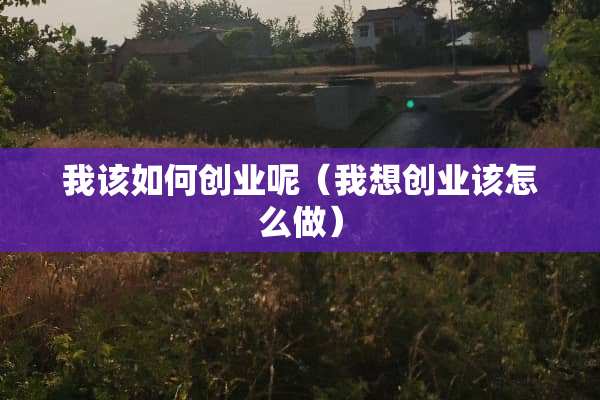 我该如何创业呢(我想创业该怎么做) 我该如何创业呢(我想创业该怎么做)